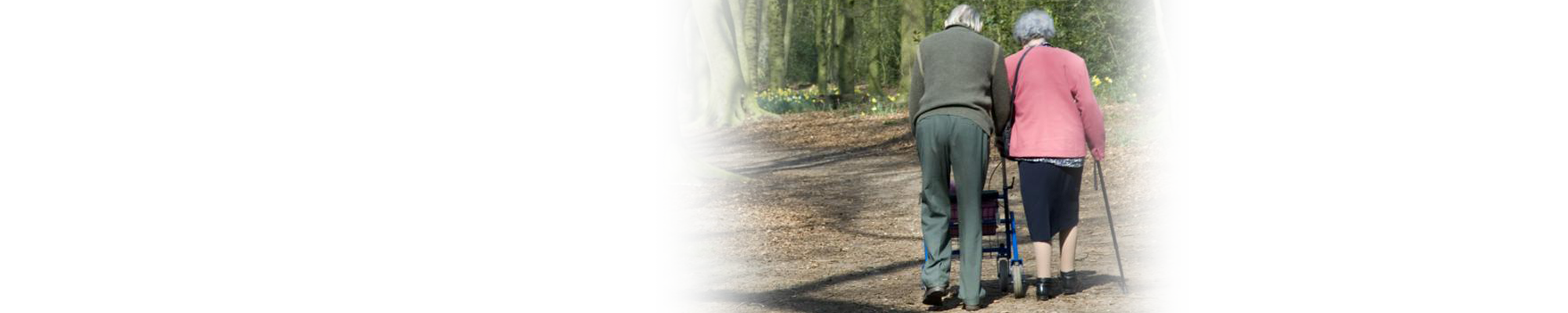 Senior couple walking in the park